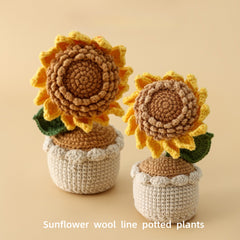 Seeded Sunflower Woolly Potted Sunflower Arrangement Desktop Graduation Season Gift