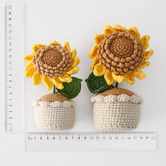 Seeded Sunflower Woolly Potted Sunflower Arrangement Desktop Graduation Season Gift